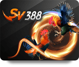 เกมแรกของ SBOTOP
ความสนุกที่สุดใน SBOTOP
โปรโมชั่นเด่นใน SBOTOP
ที่ดีที่สุดใน SBOTOP
เกมสุดปังใน SBOTOP